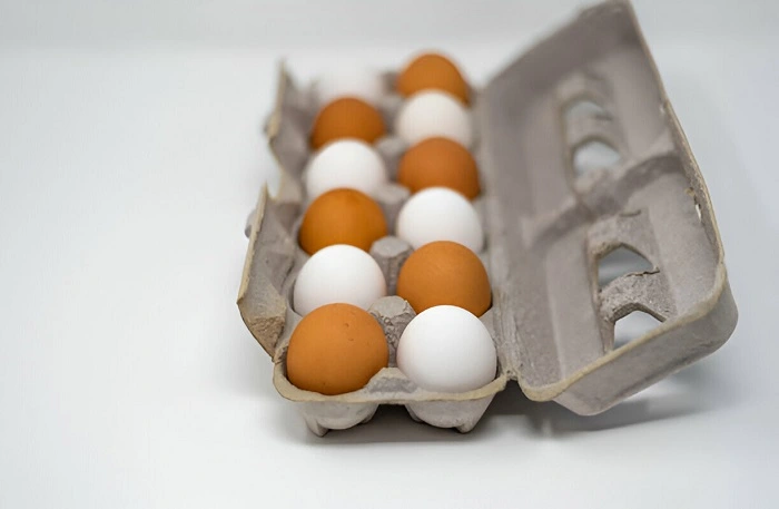 Compostable Egg Cartons