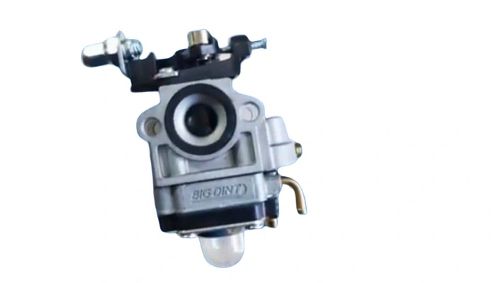 Gas leaking due to Carburetor