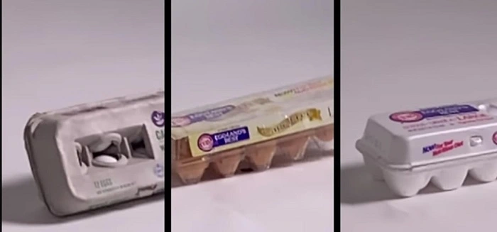 Types of Eggs Carton