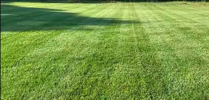 Bad Boy Maverick Uneven Grass Cutting