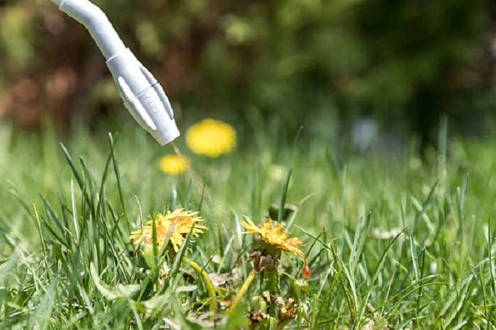 spraying diesel fuel on weeds with less spray tip. 
