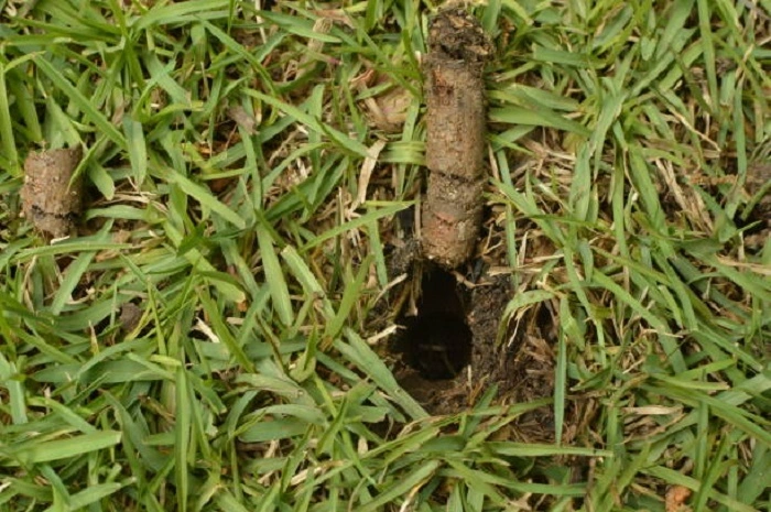 Aeration 