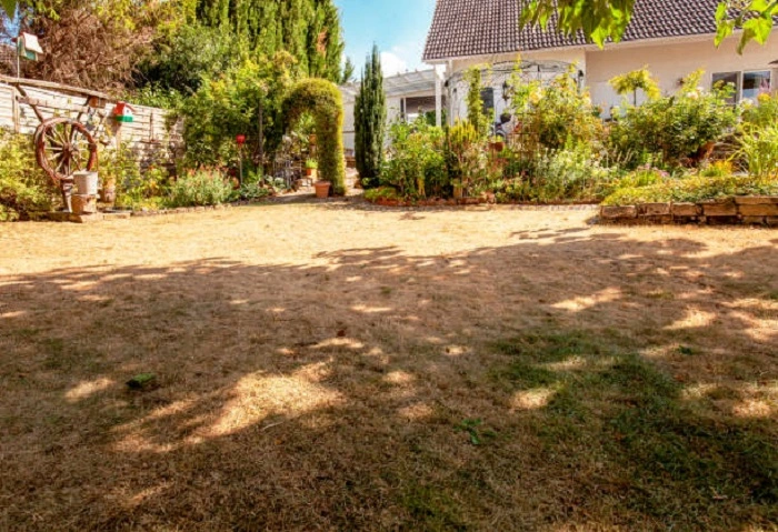 Improper Grass Structure