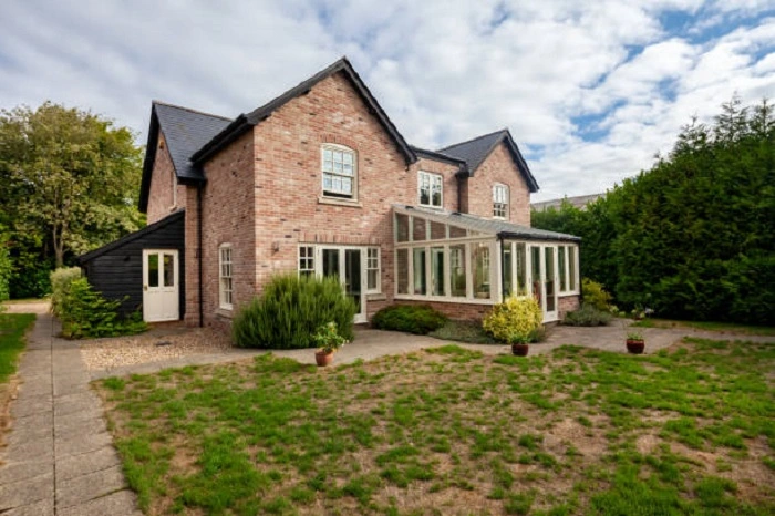 Increased Competition Results in Patchy Lawn