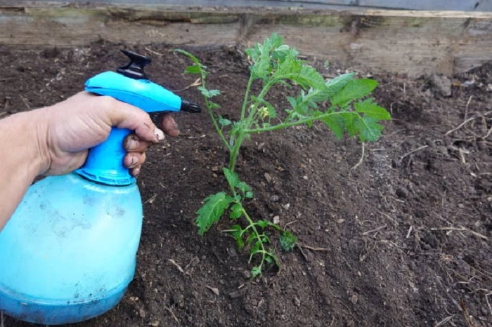 Keep Pests at Bay