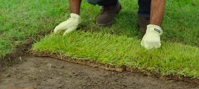 Lay Sod Properly