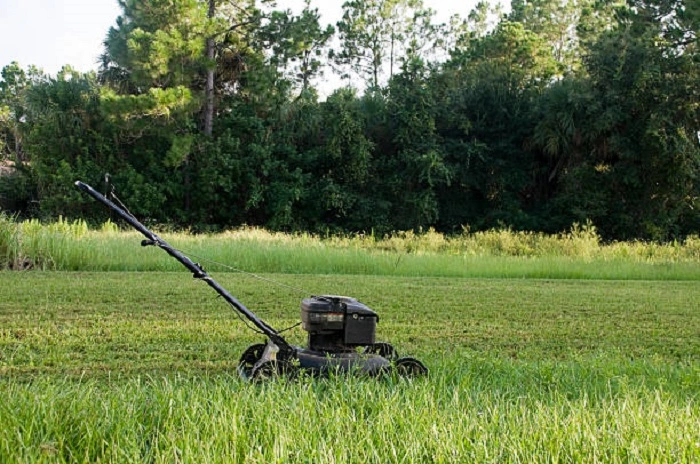 Not Mowing The Lawn Regularly