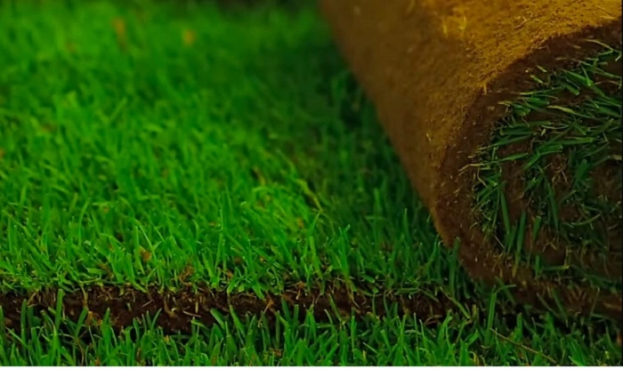 Store the Sod Properly