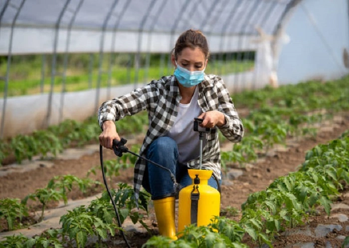 Use Biological Fungicide