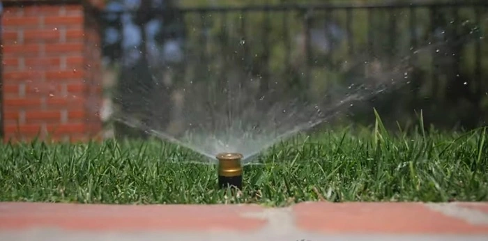 Water Thoroughly