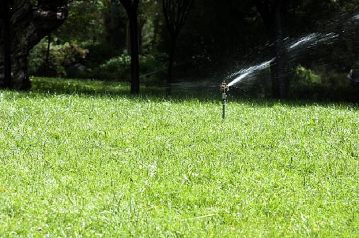 Water the Lawn Before Dethatching