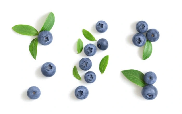 Why Are Blueberry Seeds Unnoticeable