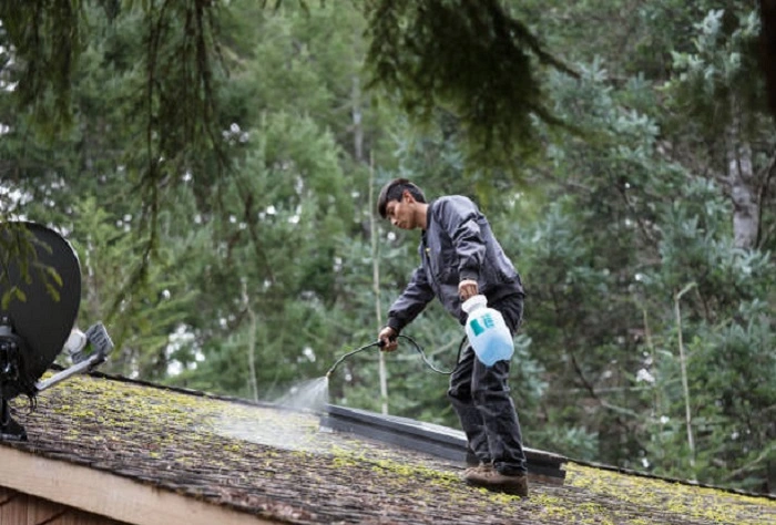 a man spraying vinegar and water mixture on the moss of roof