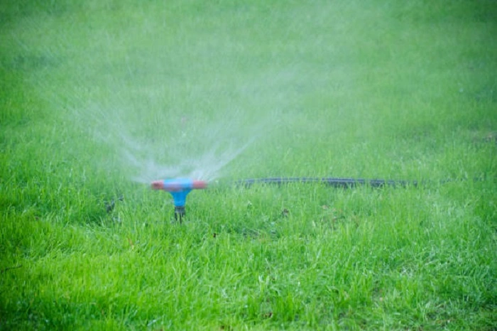 watering lawn grass