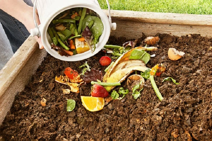 Add to Compost and Balance Ingredients
