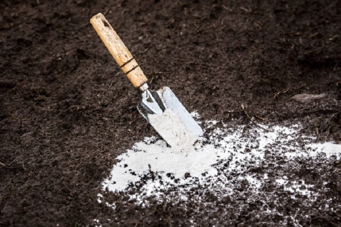lack of calcium in soil