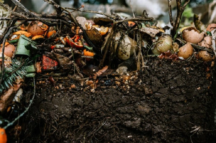 Cold Composting Method