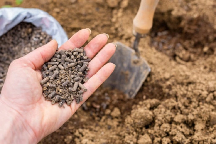 Grow Plants in Compost Only