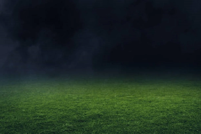 lawn grass during darkness