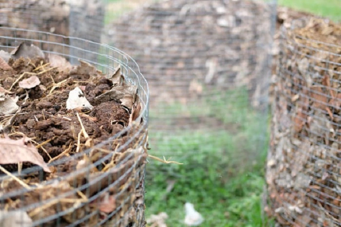Can You Put Chicken Bones in the Garden