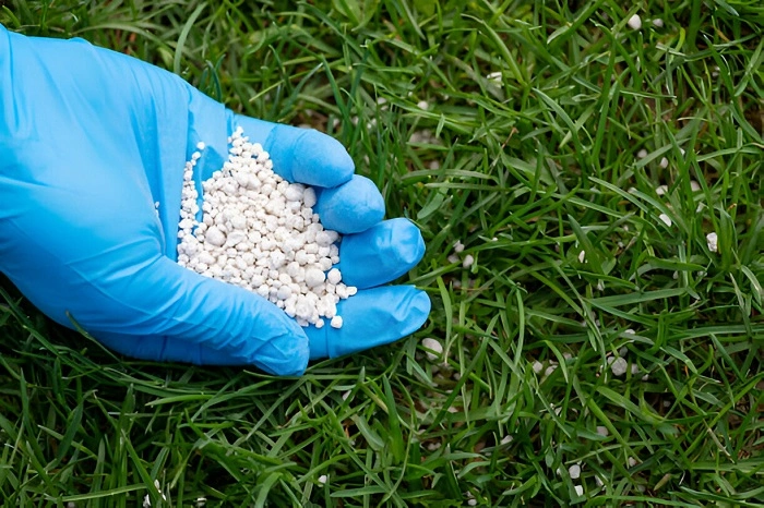 granular fertilizer