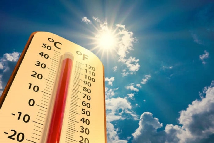 thermometer showing temperature degrees
