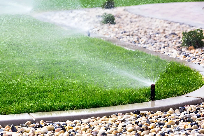 heavy watering
