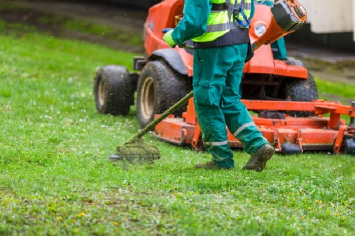 lawn care services