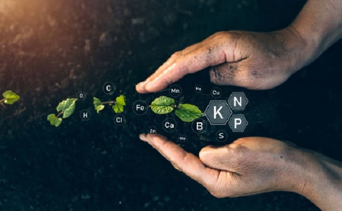 essential nutrients for grass and plant growth