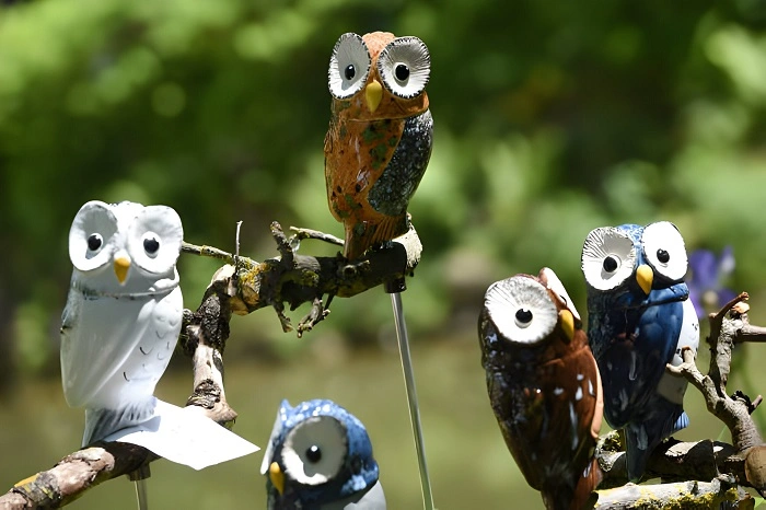 plastic owls to create distraction