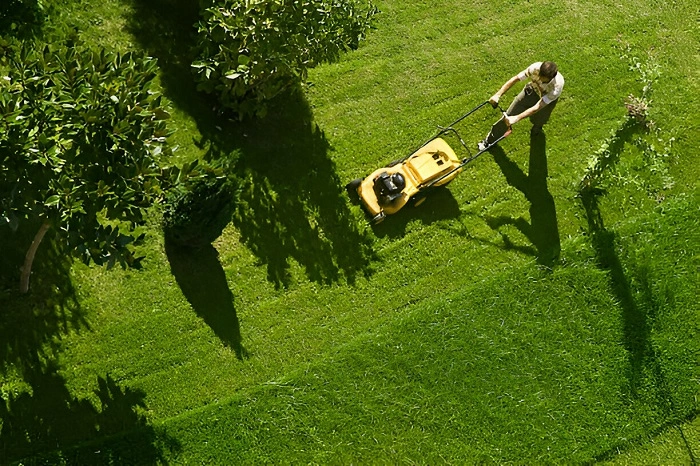 mowing lawn grass