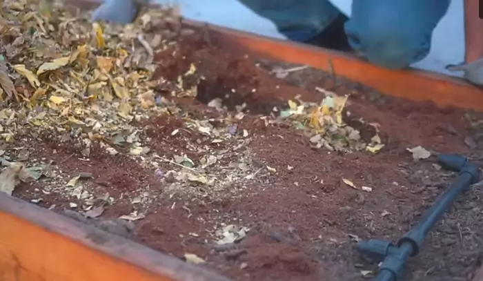 Put the Shells into the Composter
