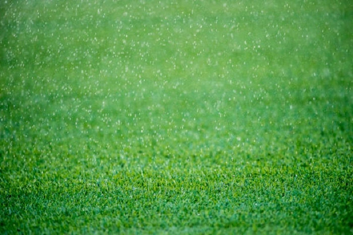 Install Sod in Rain