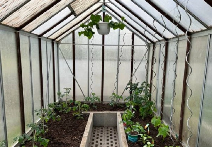 soil temperature regulation