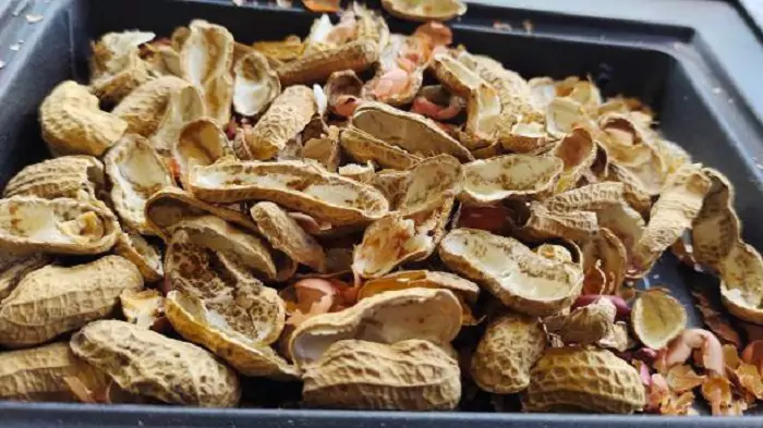 Checking for Illnesses in the Peanut Shells