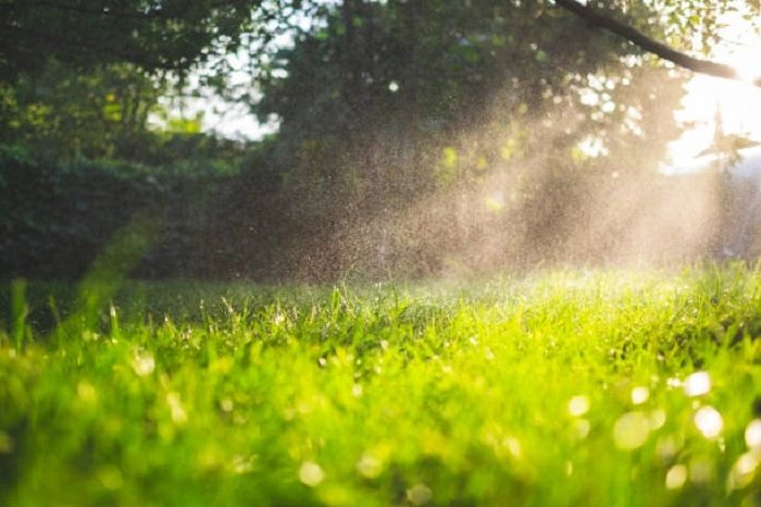 water spray on the grass