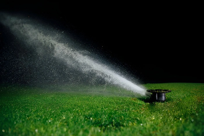 watering the grass at night