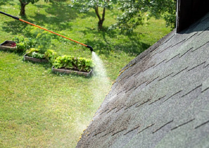 removing moss from the roof
