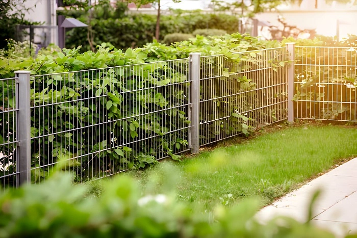 wire mesh fencing