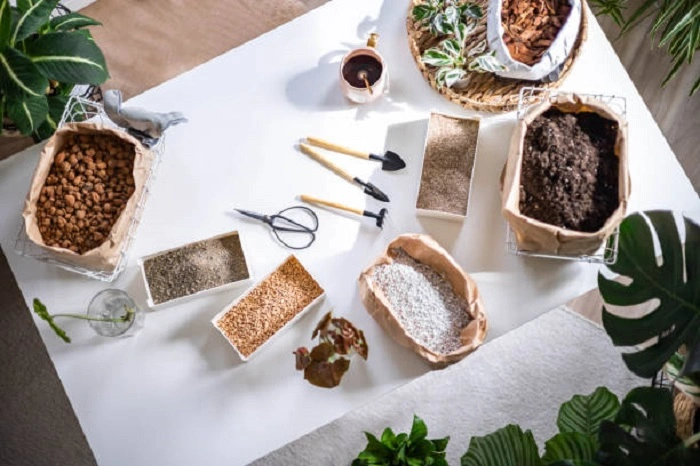 image of different types of soil for monstera plant