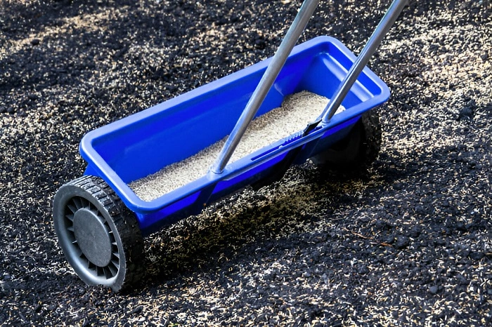 image of grass seeds in a seeds dispenser car
