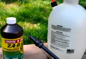 image of 24d weed killer spray