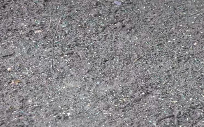 image of lawn area prepared for hydro seeding