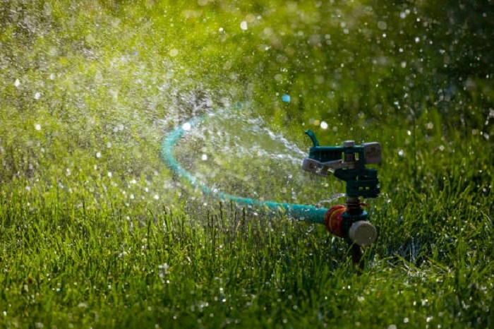 image of watering lawn grass seedlings