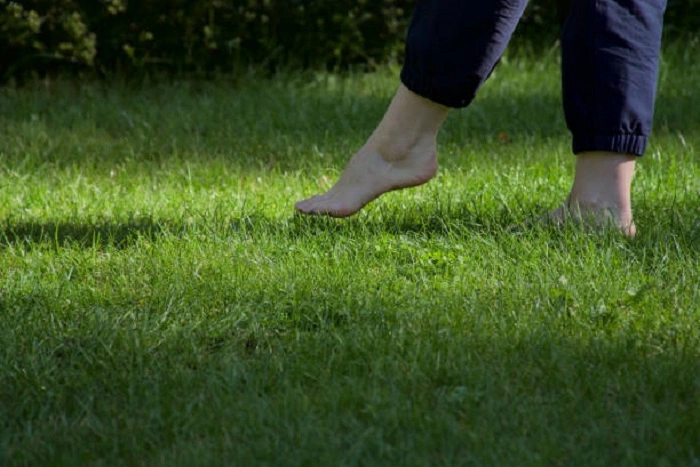 image of doing test walk on newly grown grass