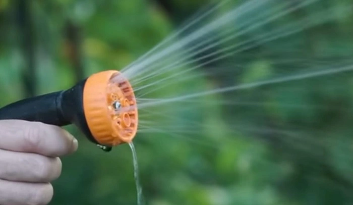 image of watering dormant seeds