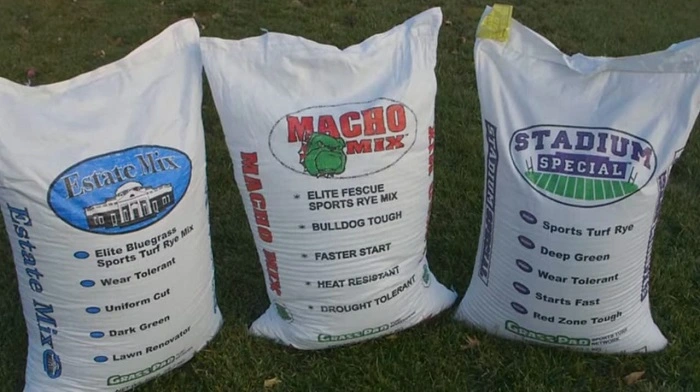 image of suitable grass seeds best for dormant seeding
