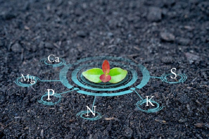 image of essential micronutrients for soil
