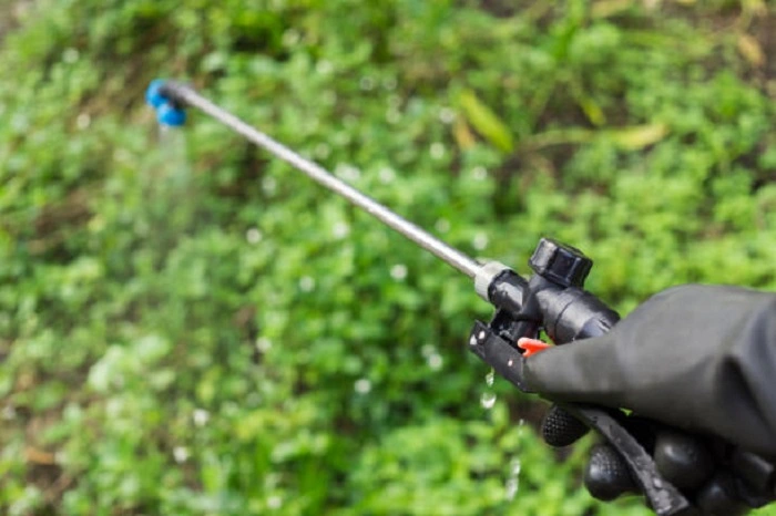 image of spraying weed killer on grass