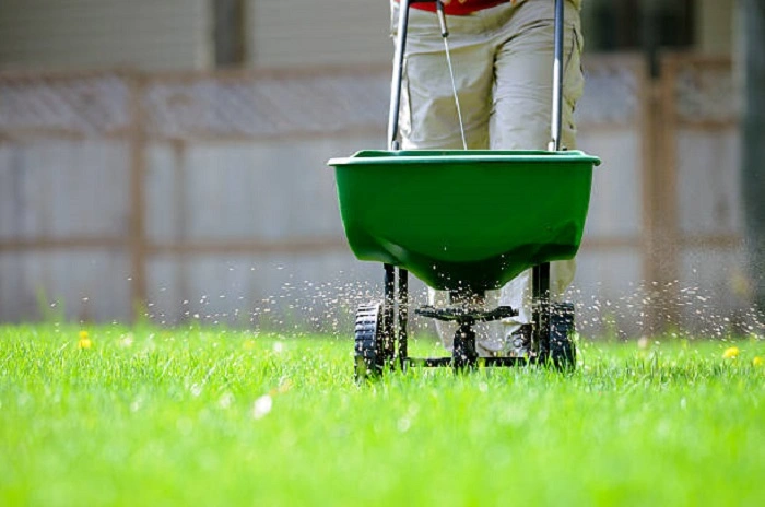 image of applying 19-19-19 fertilizer in a garden